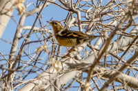 APR_2834