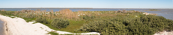 DSC_0231-Pano