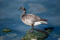 FEB_0097