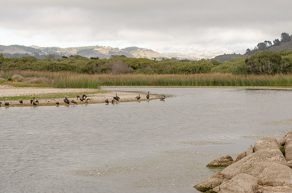 Carmel River